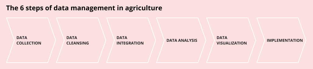 The 6 steps of data management in agriculture